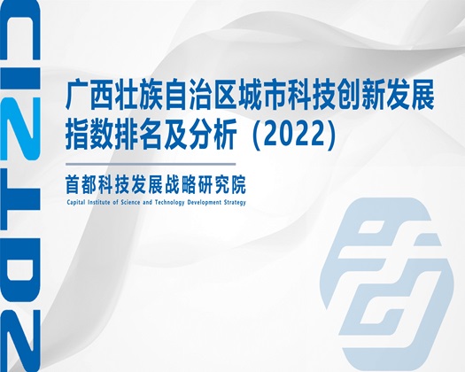 操干插视频【成果发布】广西壮族自治区城市科技创新发展指数排名及分析（2022）